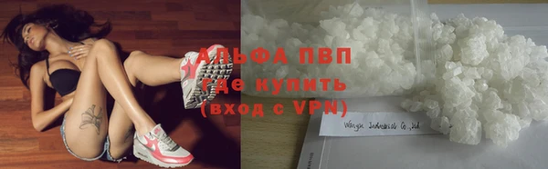 шишки Аркадак