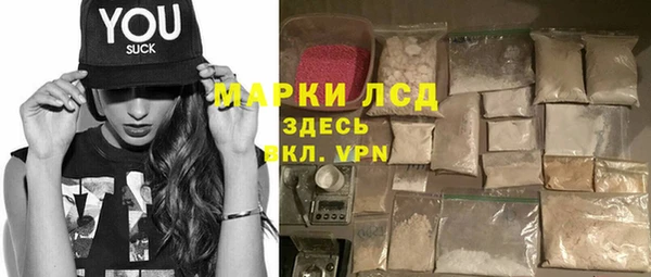 ECSTASY Алзамай